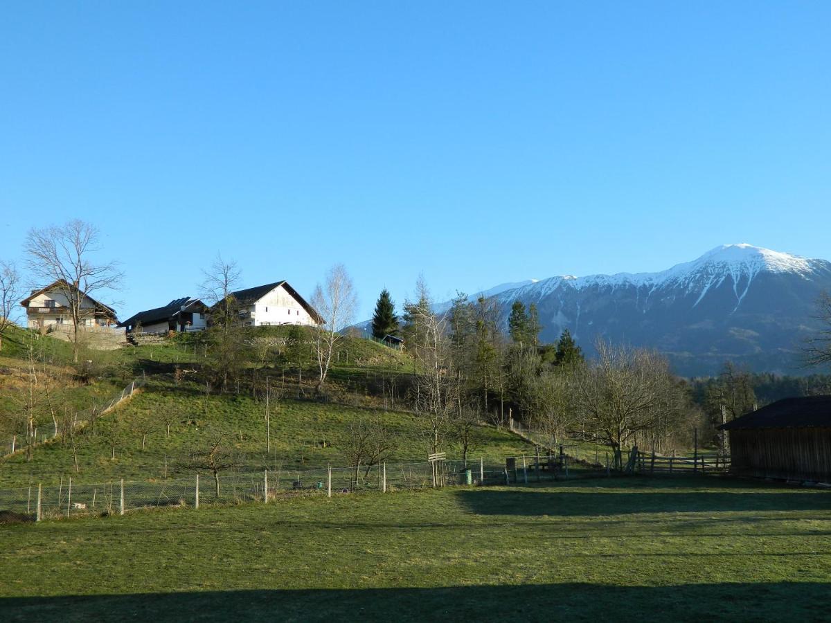 Apartma Biofit Bled Bagian luar foto