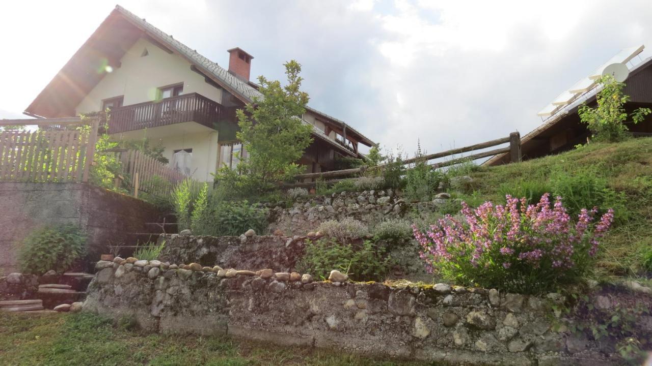 Apartma Biofit Bled Bagian luar foto