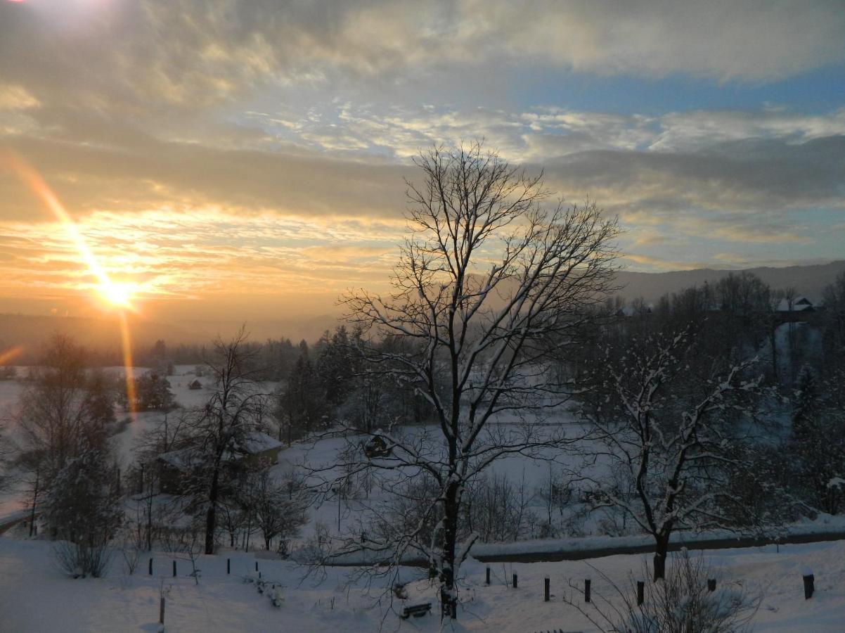 Apartma Biofit Bled Bagian luar foto