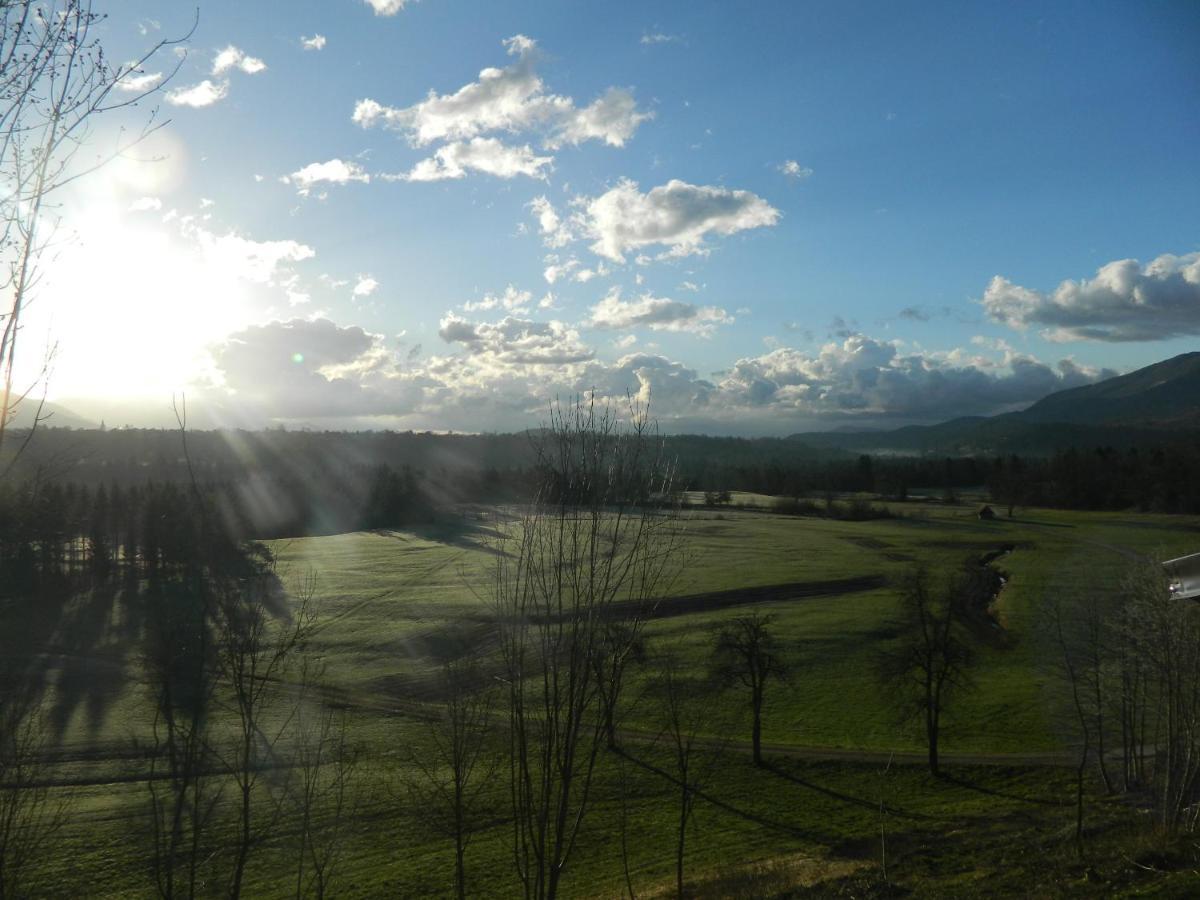 Apartma Biofit Bled Bagian luar foto