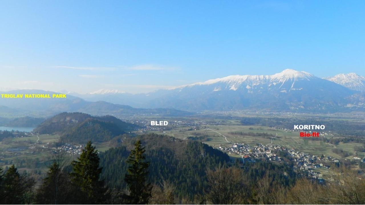 Apartma Biofit Bled Bagian luar foto
