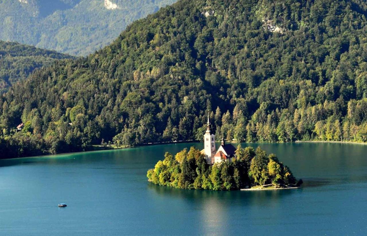 Apartma Biofit Bled Bagian luar foto