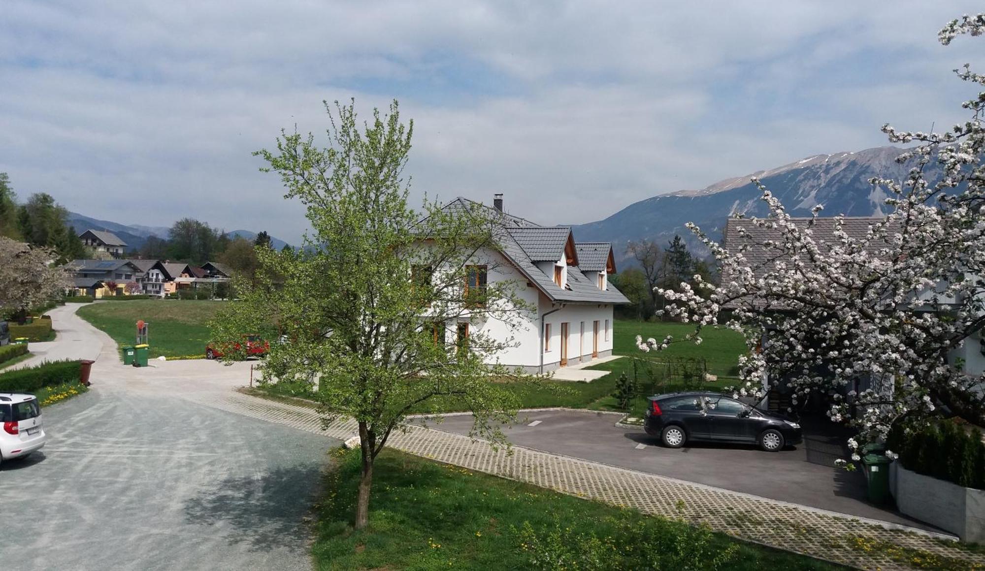 Apartma Biofit Bled Ruang foto